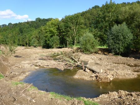 Renaturierung der Alme bei Ahden